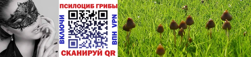 blacksprut ONION  Барыш  Псилоцибиновые грибы мицелий 